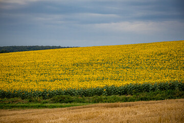 Paysage de campagne Fran&ccedil;aise en Bourgogne-Franche-Comt&eacute;