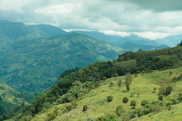 Obraz premium Beautiful landscape in the Andes Mountains. Clouds. Jardin, Jardín, Antioquia, Colombia.
