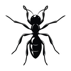 Ant Silhouette for Art Illustration, Logo, Pictogram, Website, or Graphic Design Element. Illustration