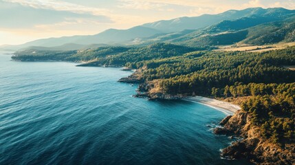 Obraz premium Aerial View of a Coastal Landscape with a Secluded Beach