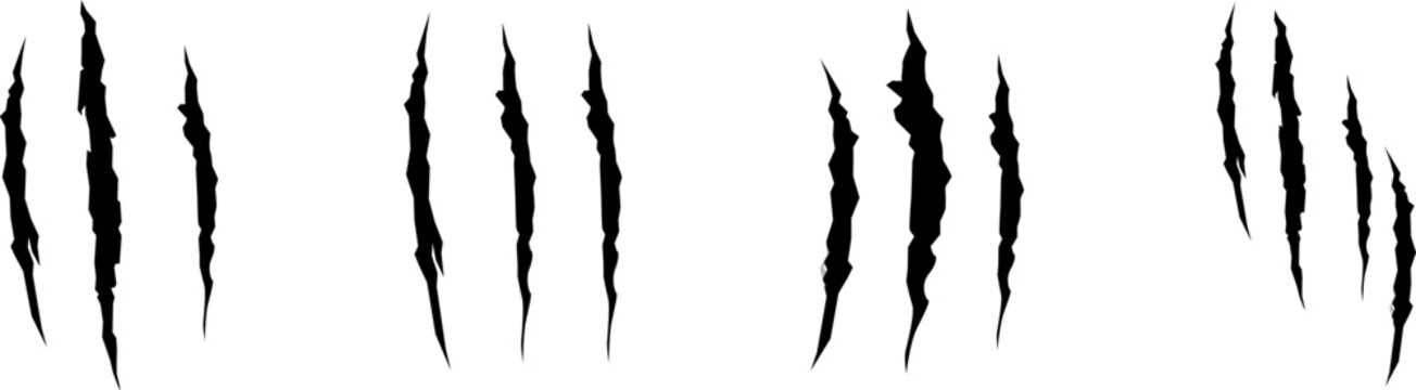 Black animal claw marks. Predator claw marks. Realistic set of animal claws.
