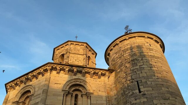 Swifts Flying
