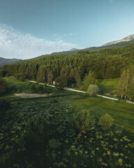 Beautiful shot from a drone of a green pine forest with beautiful blue sky and some clouds and big mountain. Green meadows and leaves.
