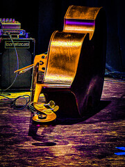 Bass on Concert Stage