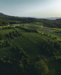 Above meadows and farm fields with beautiful background horizon view. Photographed with a drone from the sky.