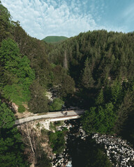 Vertical panorama taken with a drone from above with beautiful view of a river and a bridge surrounded by green forest.