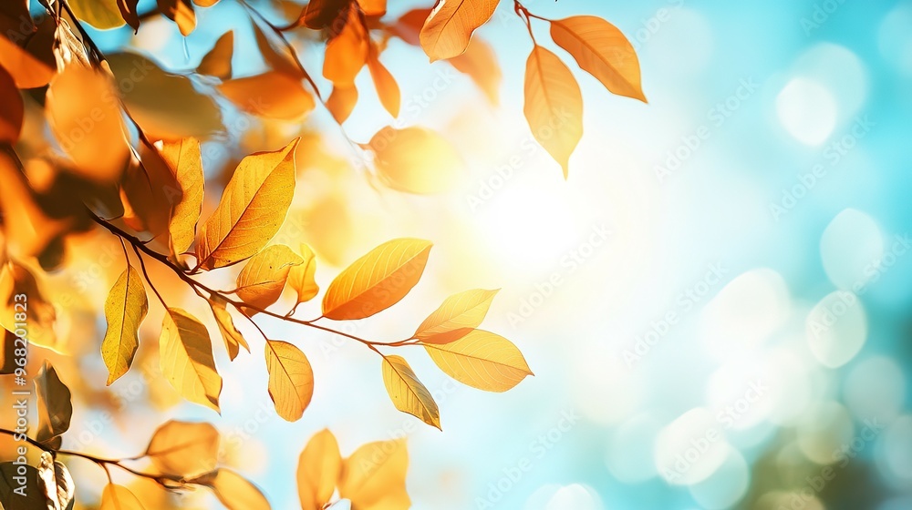 Canvas Prints Autumn Leaves Silhouetted Against a Blue Sky with Bokeh