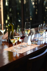Wine Tasting