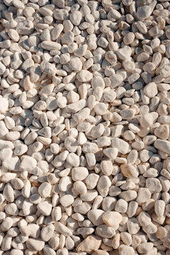 Close-up view of smooth white pebbles