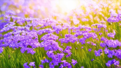 Obraz premium Beautiful light background for a greeting card with delicate flowers 