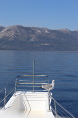 Somewhere in Lake Tahoe