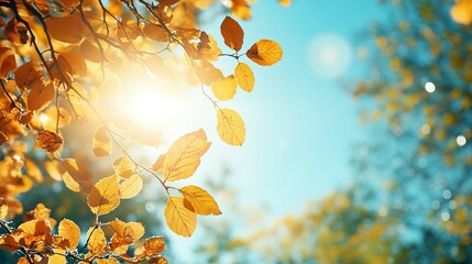 Golden Autumn Leaves Against a Blue Sky