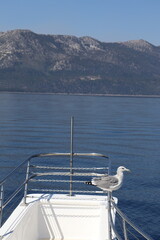 Somewhere in Lake Tahoe