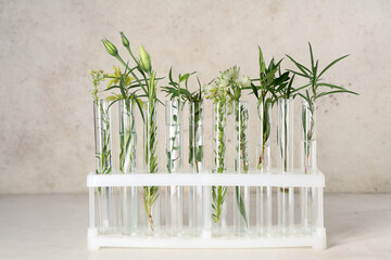 Different test tubes with herbs and plants in holder on grunge beige background