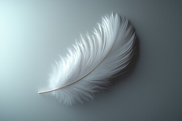 Obraz premium A single white feather gently resting on a clean, smooth surface, highlighting the beauty of minimalism. Concept of purity and simplicity.