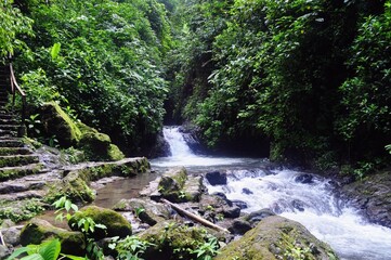 waterfall in the forest