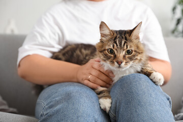 Beautiful mature woman with cute cat sitting on sofa at home, closeup