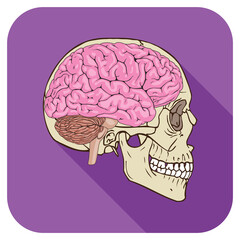 Brainiac Icon Purple