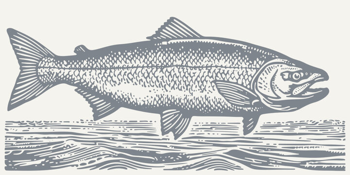 Fish Engraving Images – Browse 63,958 Stock Photos, Vectors, and Video ...