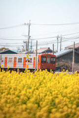 電車