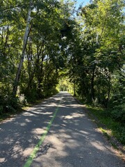 road in the forest