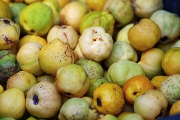 Fresh yellow quinces fruit, winter cherries, close up.