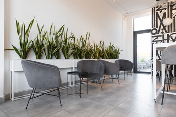 Lounge zone in the office with soft furniture