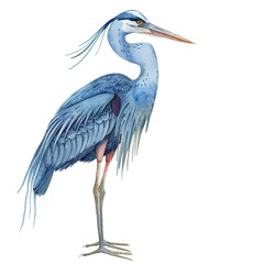 Obraz premium Heron watercolor fantasy animal cartoon isolated whitebackground