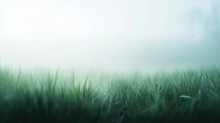 Naklejka premium Blurred close-up of green grass, with a light mist hovering in the early morning air.