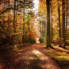 Obraz premium path in a forest, AI generated