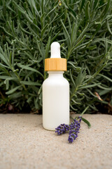 White oil dropper bottle on a concrete slab with lavender bush background.