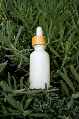 White oil dropper bottle nestled among vibrant green foliage