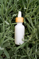 White oil dropper bottle nestled among vibrant green foliage