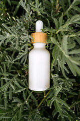 White oil dropper bottle nestled among vibrant green foliage