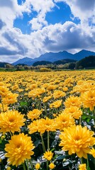 Fototapeta premium Yellow Flower Field Under Blue Sky and Mountains