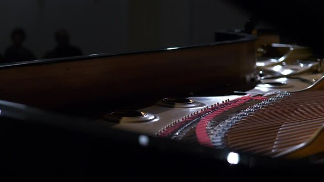 Klavier, Musik, Publikum, Auftritt, Konzert, Pianistin, Live, Performance, Zuh&ouml;rer, Klavierkunst, B&uuml;hne, Musikgenuss, Instrumentalmusik, Auff&uuml;hrung, Zuschauer, Kultur, Musikvorstellung, LiveEvent
