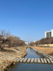 Fototapeta premium river in the spring, south korea