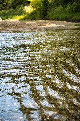river in the forest
