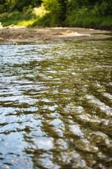 Fototapeta premium river in the forest
