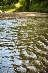 river in the forest