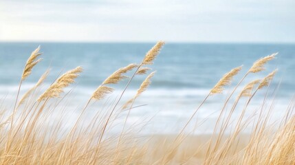 Obraz premium Tall grass out of focus, swaying gently in the wind against a background of a distant ocean.