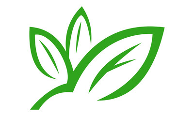 icon green leaf vector logo