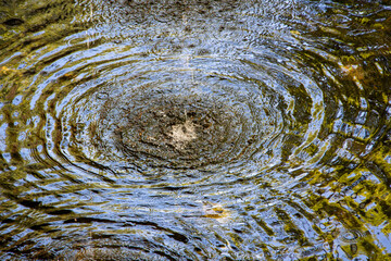 Water ripples in a small stream. Circles on the surface of the water in the forest. Water ripples on the surface of a pond in the forest.