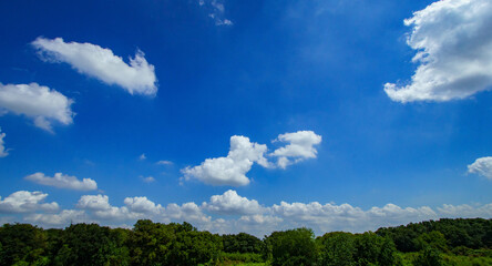 広い大空に漂う白い雲