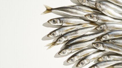 a group of small anchovies arranged in a fan pattern against an isolated white background