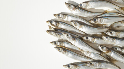 a group of small anchovies arranged in a fan pattern against an isolated white background