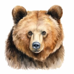 Watercolor Brown Bear Illustration - Realistic Wildlife Animal Portrait for Nature Art and Education.