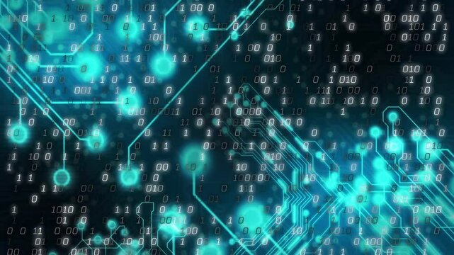 Animation of network of connections over binary coding