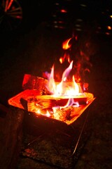 burning fire in a fireplace