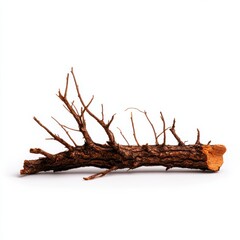 A rustic, branch-like piece of wood with intricate details and a natural, earthy appeal for various design uses.